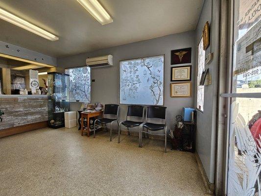 Cachola Erlinda M MD