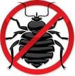 Bed Bug Exterminator