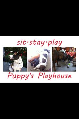 Puppy's Playhouse LA