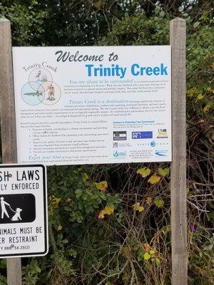 Trinity Creek Wetland Area