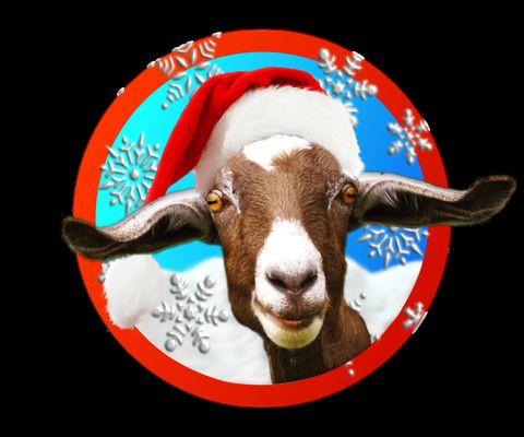 Goat Creative Media Design