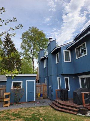 Asgard Painting & Design