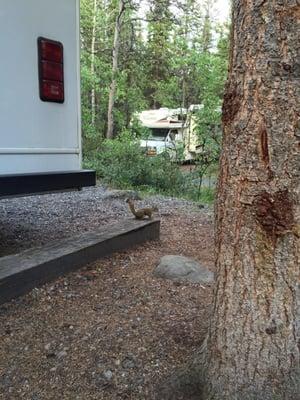 Riley Creek Campground