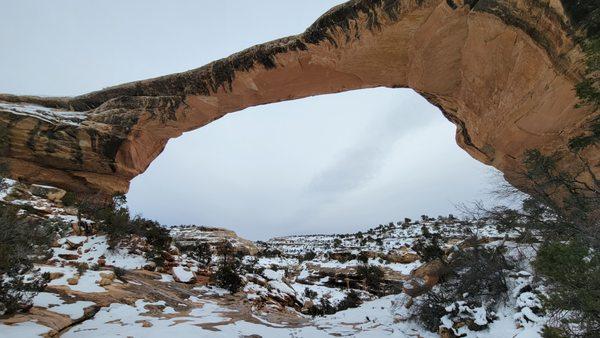 Natural Bridges National Monument