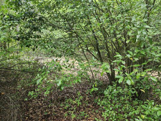 Mack Landscaping and Gardens Services