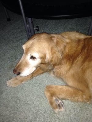 We will miss u Amber..