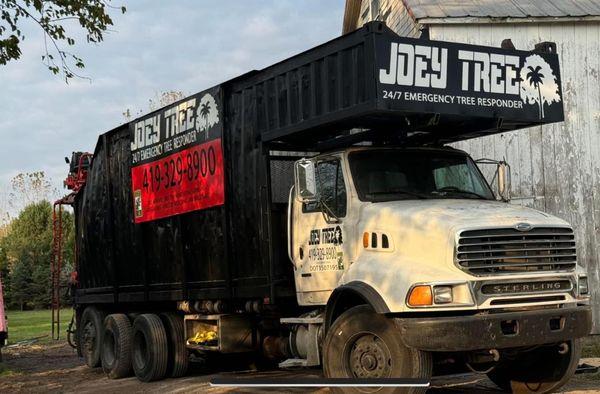 Tree removal Toledo OH