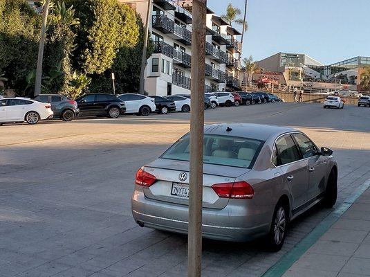 Ellen Browning Scripps Park