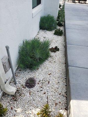 Bernal Landscaping & Gardening Service