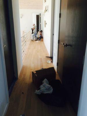 Puma Hardwood Flooring