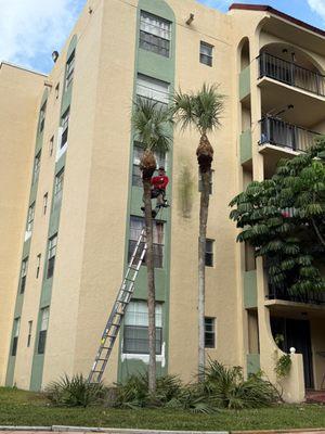 JL Landscaping & Tree Service