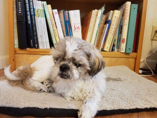 Loving Paws Pet Clinic