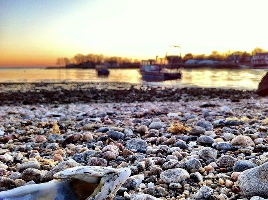 Cross Private Client Insurance