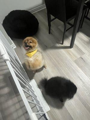 Charter Oaks Apartment Homes