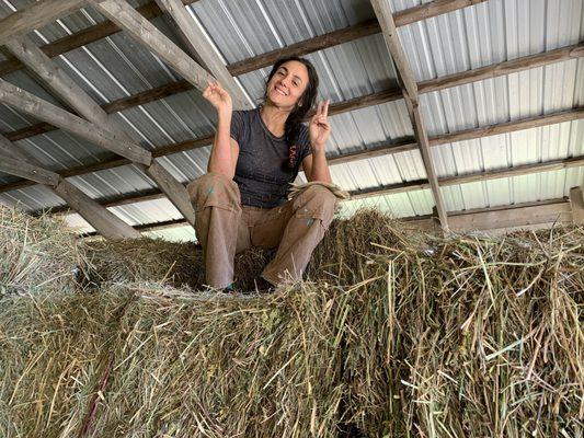 Jefferson Town of, Office of the Clerk/Collector