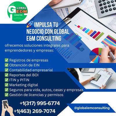 Global E&M Consulting