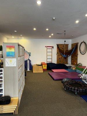 Our new occupational therapy gym!!