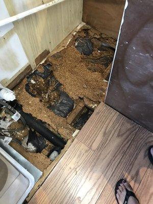 Pictures worth a thousand words! This is there BAD job!