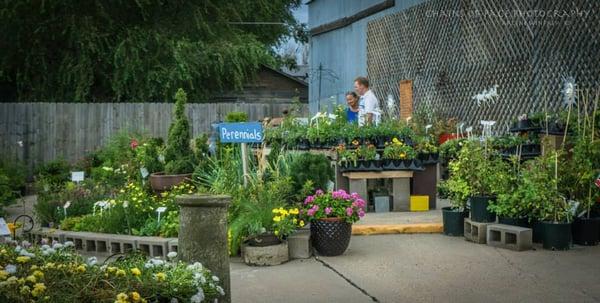 Helms Garden Shop And Nursery