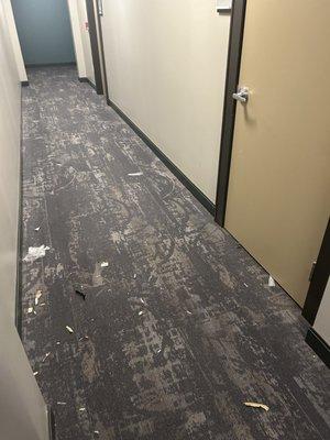 Skyhouse Denver Apartments