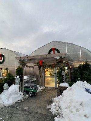 Martin's Produce & Greenhouse
