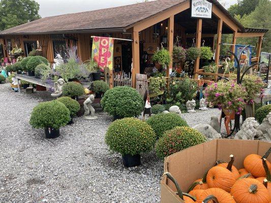 Morning Glory Hill Greenhouse