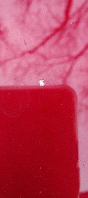 One of many chips in the paint from this wash.