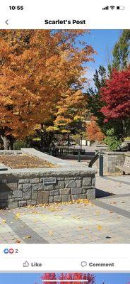Appalachian State University
