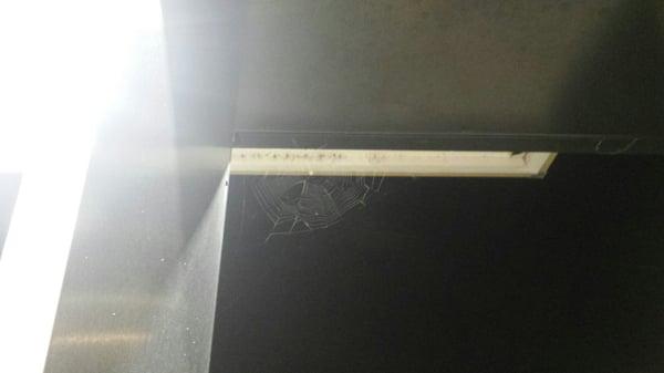 Oh what tangled webs spiders at Seneca One Stop weave.