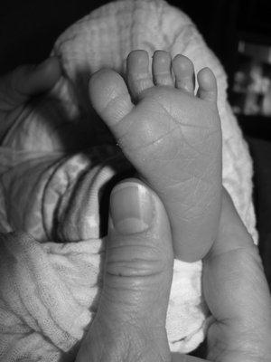 Birth With Insight