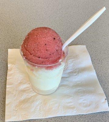 Leche Quemada (Burnt Milk) topped with Tuna (Pricky Pear Cactus) Nieve (sorbet ice) at La Asuncion. Photo Courtesy: Isabel Castro-Melendez.