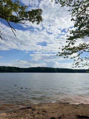 Lake Wheeler Park