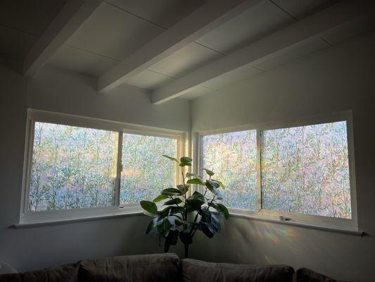 Professional Window Tinting