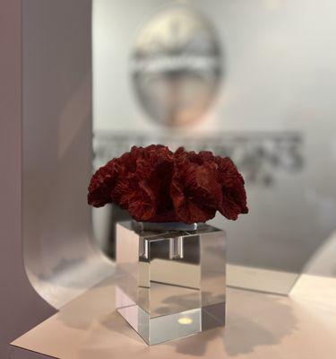 Smile Designs of South Florida