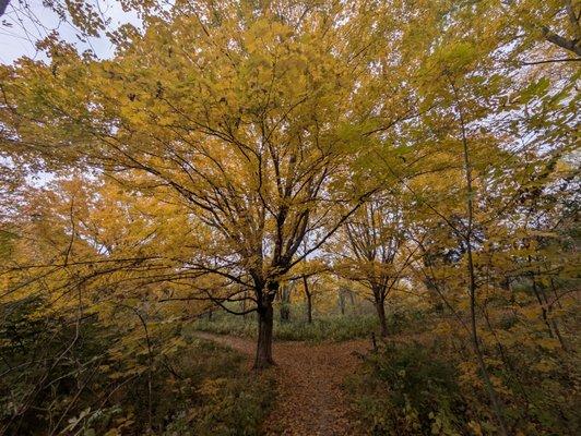 Glenns Valley Nature Park