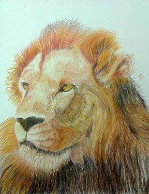 Age 10 "Lion"
Colored Pencil