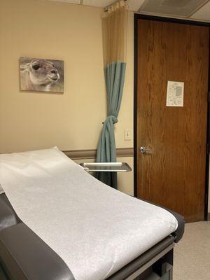 Lots of cool art and clean patient rooms!