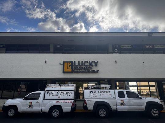 The Pest Control Company