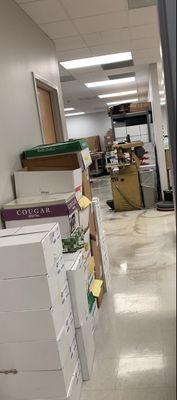 Guillen General Cleaning Services