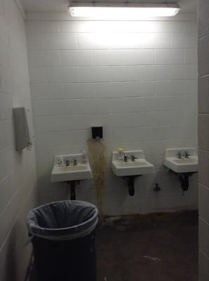 Unfortunately the W.C is really dirty. Spider webs everywhere.