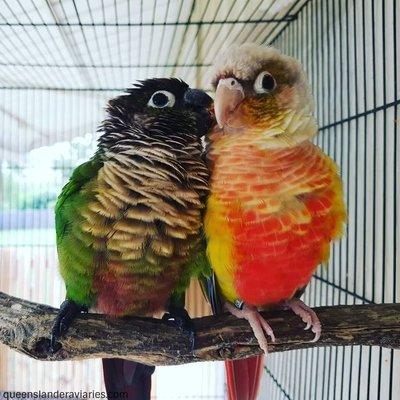 Leesylvania Elementary School Age Child Care