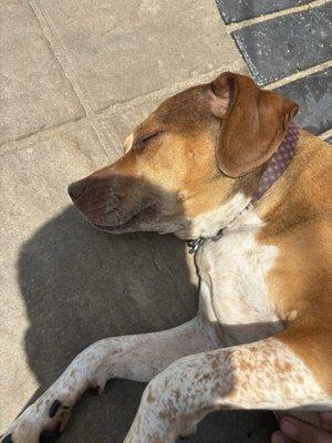 Canton Middle School