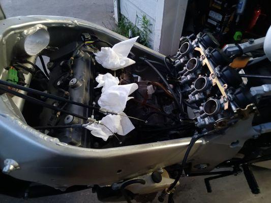 Midnight Marine and Motorsports