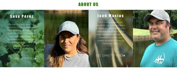 Grasshoppers Tree Cut