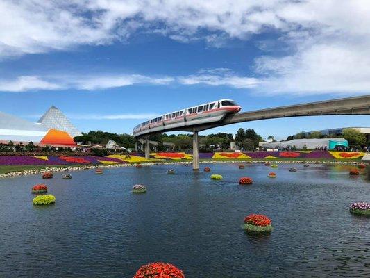 Trip Of A Lifetime Travel