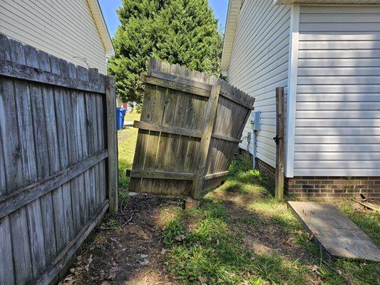 Day 3 Tree Service and Landscaping