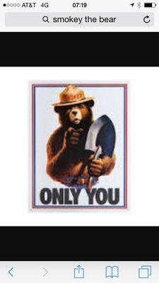Only you can prevent forest fires