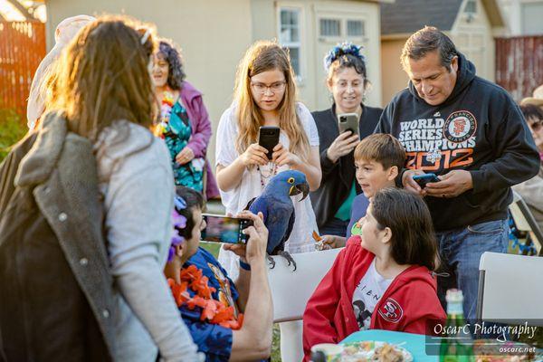 Chabad South County Jewish Center