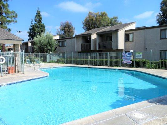 Spring Tree Apartments