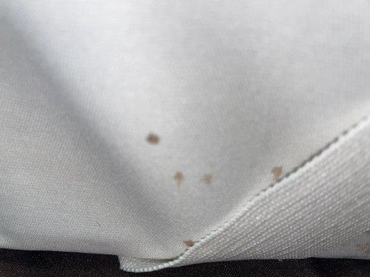Sign of bed bugs